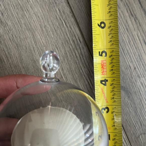 5 for $10 - skull in cloche - Picture 3 of 7